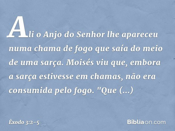 Ali o Anjo do Senhor lhe apareceu numa chama de fogo que saía do meio de uma sarça. Moisés viu que, embora a sarça estivesse em chamas, não era consumida pelo f