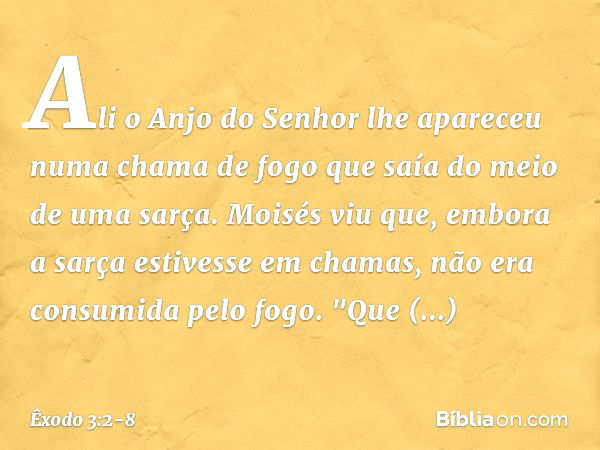 Ali o Anjo do Senhor lhe apareceu numa chama de fogo que saía do meio de uma sarça. Moisés viu que, embora a sarça estivesse em chamas, não era consumida pelo f