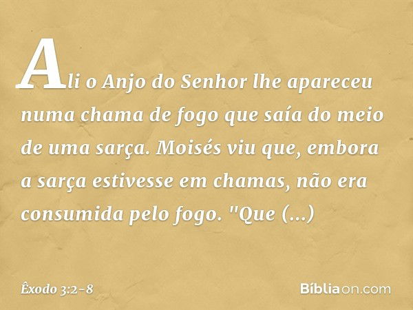 Ali o Anjo do Senhor lhe apareceu numa chama de fogo que saía do meio de uma sarça. Moisés viu que, embora a sarça estivesse em chamas, não era consumida pelo f