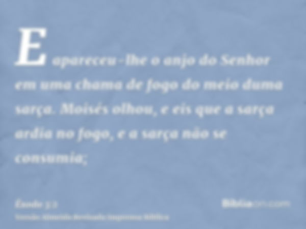 E apareceu-lhe o anjo do Senhor em uma chama de fogo do meio duma sarça. Moisés olhou, e eis que a sarça ardia no fogo, e a sarça não se consumia;