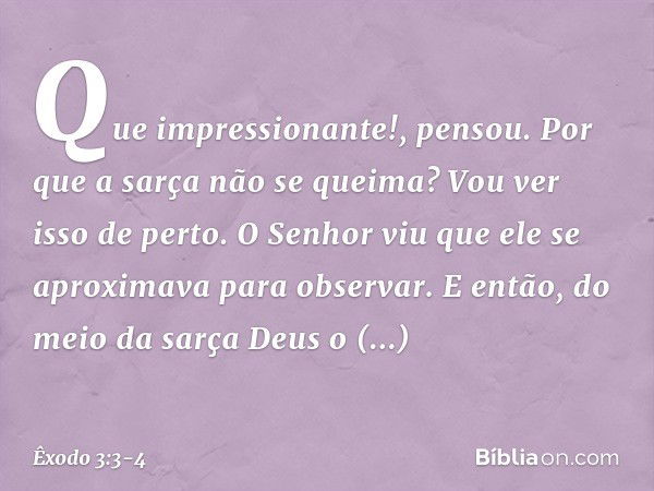 "Que impressionan­te!", pensou. "Por que a sarça não se queima? Vou ver isso de perto." O Senhor viu que ele se aproximava para observar. E então, do meio da sa