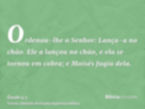 Ordenou-lhe o Senhor: Lança-a no chão. Ele a lançou no chão, e ela se tornou em cobra; e Moisés fugiu dela.