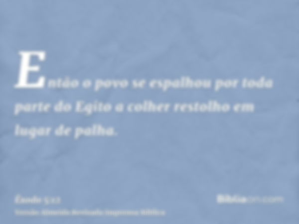 Então o povo se espalhou por toda parte do Egito a colher restolho em lugar de palha.