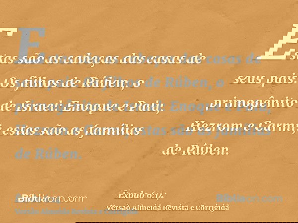Estas são as cabeças das casas de seus pais: Os filhos de Rúben, o primogênito de Israel: Enoque e Palu, Hezrom e Carmi; estas são as famílias de Rúben.
