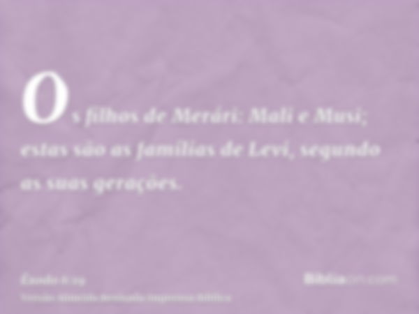 Os filhos de Merári: Mali e Musi; estas são as famílias de Levi, segundo as suas gerações.