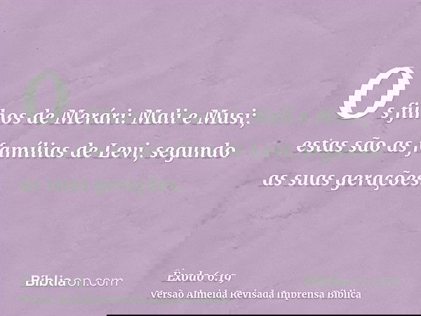 Os filhos de Merári: Mali e Musi; estas são as famílias de Levi, segundo as suas gerações.