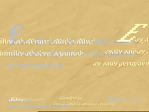 E os filhos de Merari: Mali e Musi; estas são as famílias de Levi, segundo as suas gerações.