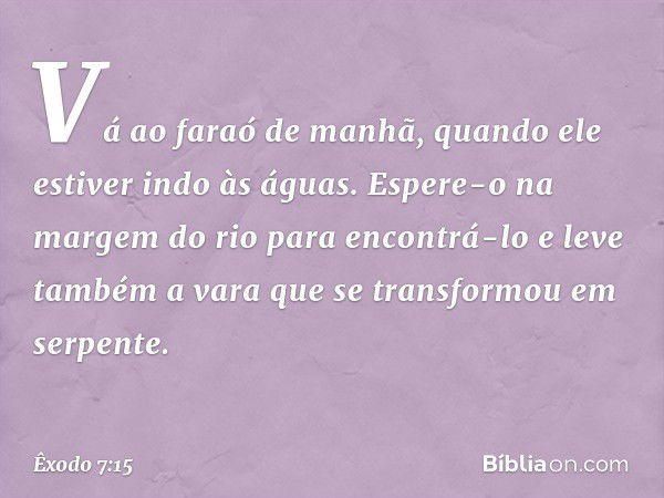 Vá ao faraó de manhã, quando ele estiver indo às águas. Espere-o na margem do rio para encontrá-lo e leve também a vara que se transformou em serpente. -- Êxodo