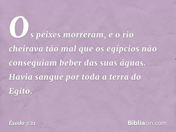 Os peixes morreram, e o rio cheirava tão mal que os egípcios não conseguiam beber das suas águas. Havia sangue por toda a terra do Egito. -- Êxodo 7:21