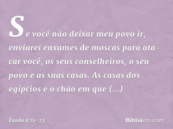 Se você não deixar meu povo ir, enviarei enxames de moscas para ata­car você, os seus conselheiros, o seu povo e as suas casas. As casas dos egípcios e o chão e