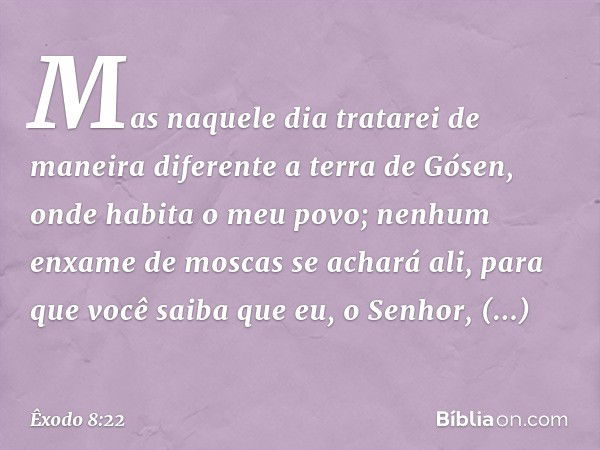 "Mas naquele dia tratarei de maneira diferente a terra de Gósen, onde habita o meu povo; nenhum enxame de moscas se achará ali, para que você saiba que eu, o Se