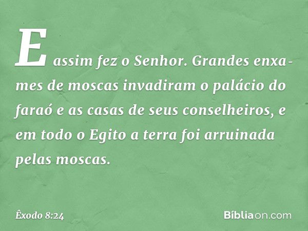 E assim fez o Senhor. Grandes enxa­mes de moscas invadiram o palácio do faraó e as casas de seus conselheiros, e em todo o Egito a terra foi arruinada pelas mos