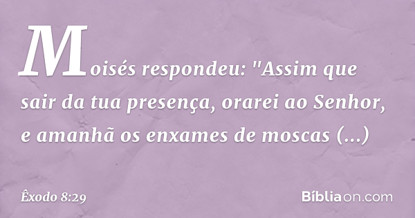 exodo 8 portugues