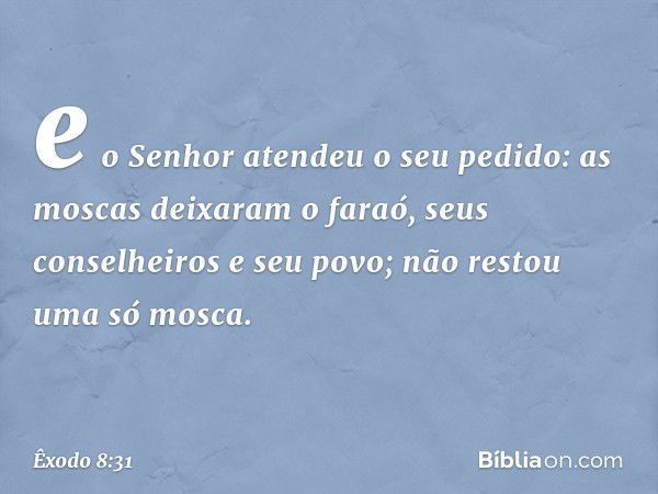 e o Senhor atendeu o seu pedido: as moscas deixaram o faraó, seus conselheiros e seu povo; não restou uma só mosca. -- Êxodo 8:31