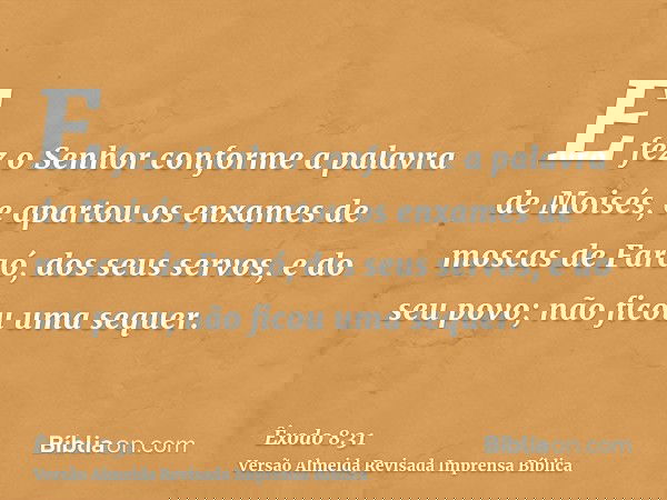 E fez o Senhor conforme a palavra de Moisés, e apartou os enxames de moscas de Faraó, dos seus servos, e do seu povo; não ficou uma sequer.