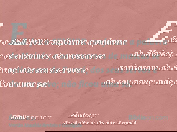 E fez o SENHOR conforme a palavra de Moisés, e os enxames de moscas se retiraram de Faraó, dos seus servos e do seu povo; não ficou uma só.