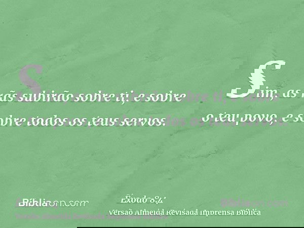 Sim, as rãs subirão sobre ti, e sobre o teu povo, e sobre todos os teus servos.