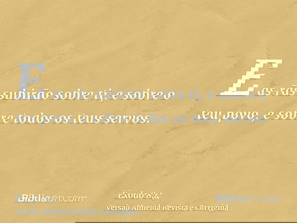 E as rãs subirão sobre ti, e sobre o teu povo, e sobre todos os teus servos.