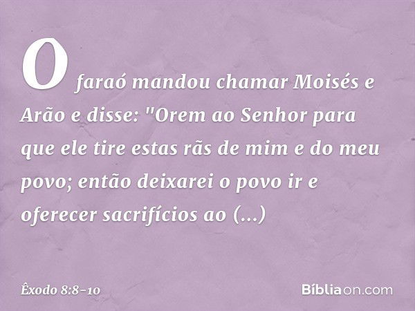 O faraó mandou chamar Moisés e Arão e disse: "Orem ao Senhor para que ele tire estas rãs de mim e do meu povo; então deixarei o povo ir e oferecer sacrifícios a