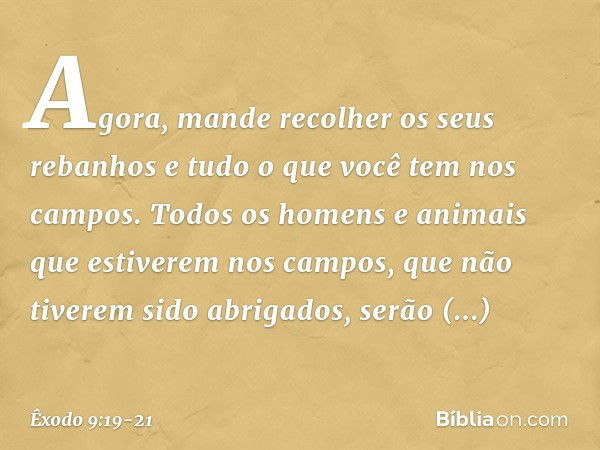 Agora, mande recolher os seus rebanhos e tudo o que você tem nos campos. Todos os homens e ani­mais que estiverem nos campos, que não tive­rem sido abrigados, s