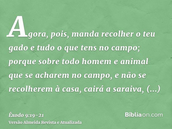 Agora, pois, manda recolher o teu gado e tudo o que tens no campo; porque sobre todo homem e animal que se acharem no campo, e não se recolherem à casa, cairá a