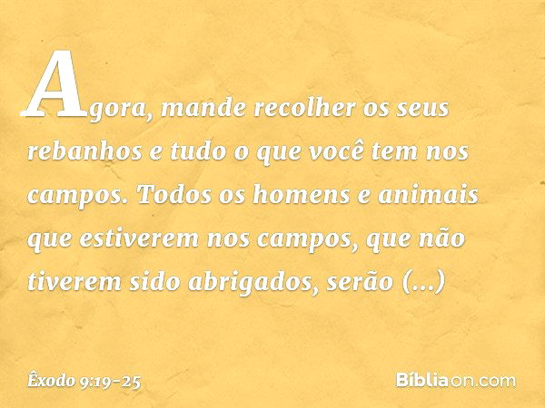 Agora, mande recolher os seus rebanhos e tudo o que você tem nos campos. Todos os homens e ani­mais que estiverem nos campos, que não tive­rem sido abrigados, s