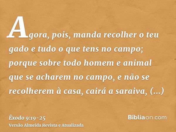 Agora, pois, manda recolher o teu gado e tudo o que tens no campo; porque sobre todo homem e animal que se acharem no campo, e não se recolherem à casa, cairá a