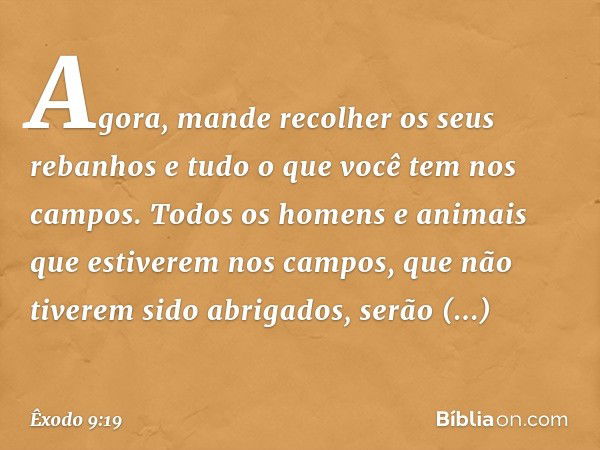 Agora, mande recolher os seus rebanhos e tudo o que você tem nos campos. Todos os homens e ani­mais que estiverem nos campos, que não tive­rem sido abrigados, s