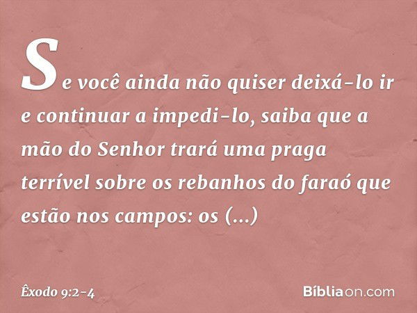 Se você ainda não quiser deixá-lo ir e continuar a impedi-lo, saiba que a mão do Senhor trará uma praga terrível sobre os rebanhos do faraó que estão nos campos