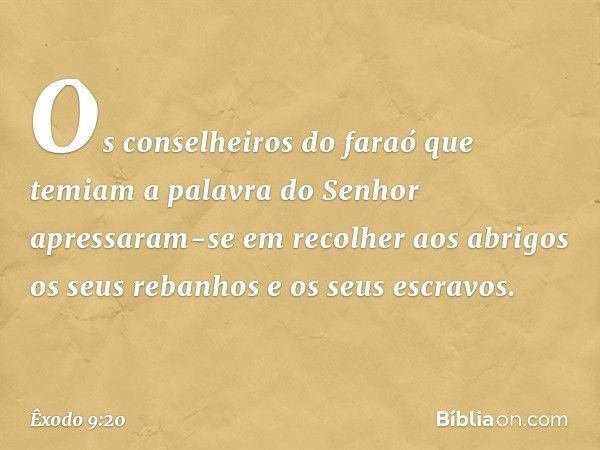 Os conselheiros do faraó que temiam a palavra do Senhor apressaram-se em reco­lher aos abrigos os seus rebanhos e os seus es­cravos. -- Êxodo 9:20