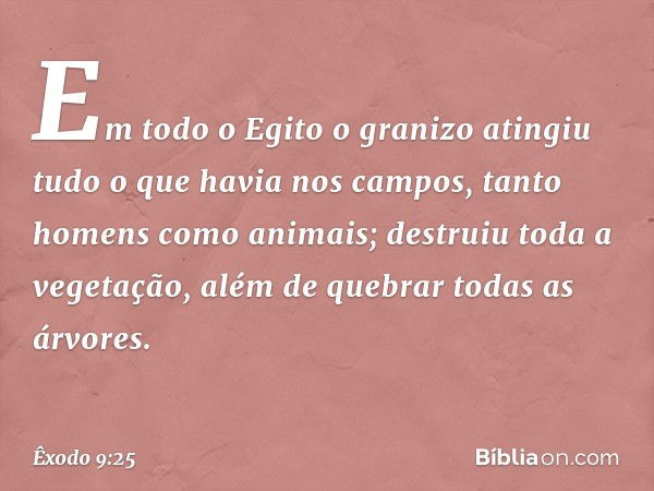 Em todo o Egito o granizo atingiu tudo o que havia nos campos, tanto homens como animais; destruiu toda a vegetação, além de quebrar todas as árvores. -- Êxodo 