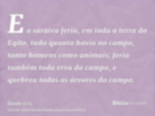 E a saraiva feriu, em toda a terra do Egito, tudo quanto havia no campo, tanto homens como animais; feriu também toda erva do campo, e quebrou todas as árvores 