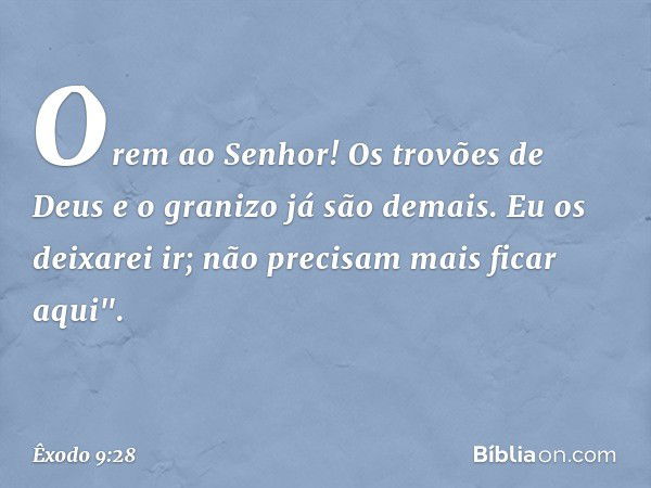 Orem ao Senhor! Os trovões de Deus e o granizo já são demais. Eu os deixarei ir; não precisam mais ficar aqui". -- Êxodo 9:28