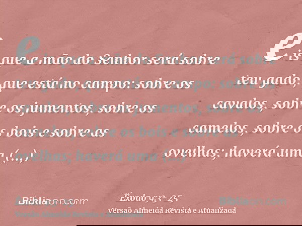eis que a mão do Senhor será sobre teu gado, que está no campo: sobre os cavalos, sobre os jumentos, sobre os camelos, sobre os bois e sobre as ovelhas; haverá