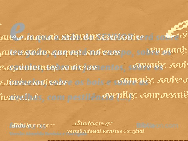 eis que a mão do SENHOR será sobre teu gado, que está no campo, sobre os cavalos, sobre os jumentos, sobre os camelos, sobre os bois e sobre as ovelhas, com pes