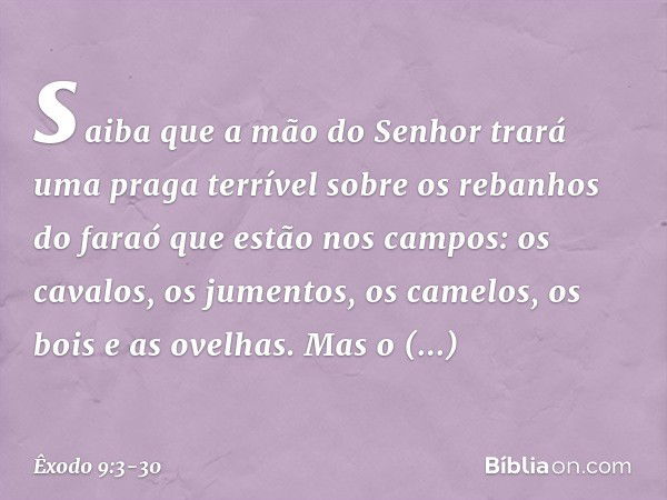 saiba que a mão do Senhor trará uma praga terrível sobre os rebanhos do faraó que estão nos campos: os cavalos, os jumentos, os camelos, os bois e as ovelhas. M