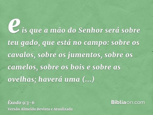 eis que a mão do Senhor será sobre teu gado, que está no campo: sobre os cavalos, sobre os jumentos, sobre os camelos, sobre os bois e sobre as ovelhas; haverá 