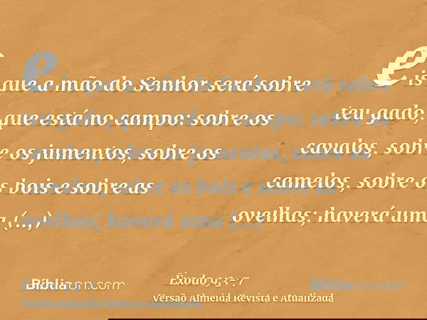 eis que a mão do Senhor será sobre teu gado, que está no campo: sobre os cavalos, sobre os jumentos, sobre os camelos, sobre os bois e sobre as ovelhas; haverá
