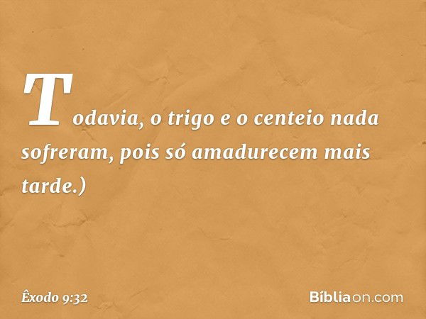 Todavia, o trigo e o centeio nada sofreram, pois só amadurecem mais tarde.) -- Êxodo 9:32