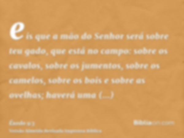 eis que a mão do Senhor será sobre teu gado, que está no campo: sobre os cavalos, sobre os jumentos, sobre os camelos, sobre os bois e sobre as ovelhas; haverá 