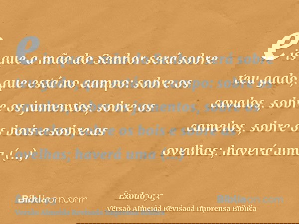 eis que a mão do Senhor será sobre teu gado, que está no campo: sobre os cavalos, sobre os jumentos, sobre os camelos, sobre os bois e sobre as ovelhas; haverá 