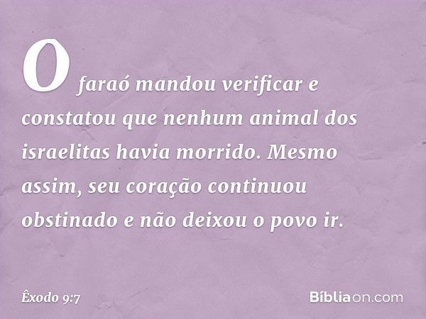 O faraó mandou verificar e constatou que nenhum ani­mal dos israelitas havia morrido. Mesmo assim, seu coração continuou obstinado e não deixou o povo ir. -- Êx