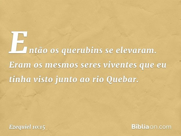 Então os querubins se elevaram. Eram os mesmos seres viventes que eu tinha visto junto ao rio Quebar. -- Ezequiel 10:15