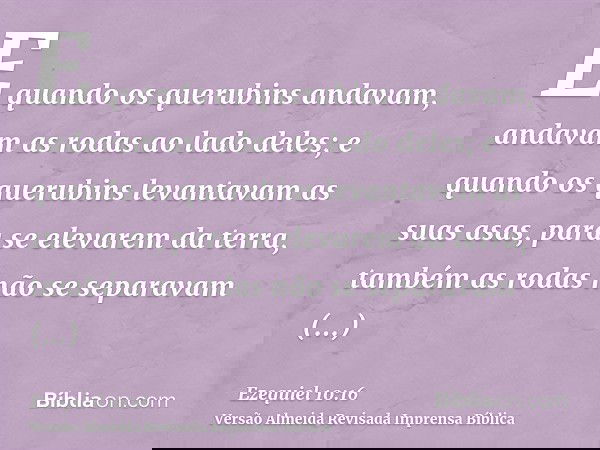 E quando os querubins andavam, andavam as rodas ao lado deles; e quando os querubins levantavam as suas asas, para se elevarem da terra, também as rodas não se 