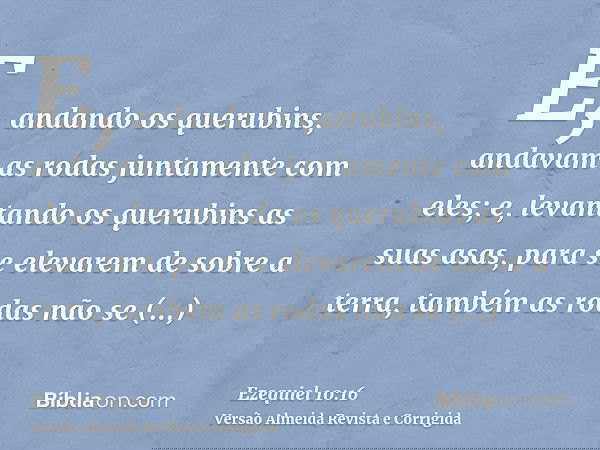 E, andando os querubins, andavam as rodas juntamente com eles; e, levantando os querubins as suas asas, para se elevarem de sobre a terra, também as rodas não s