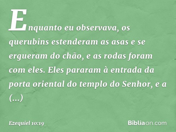 Enquanto eu observava, os querubins estenderam as asas e se ergueram do chão, e as rodas foram com eles. Eles pararam à entrada da porta oriental do templo do S