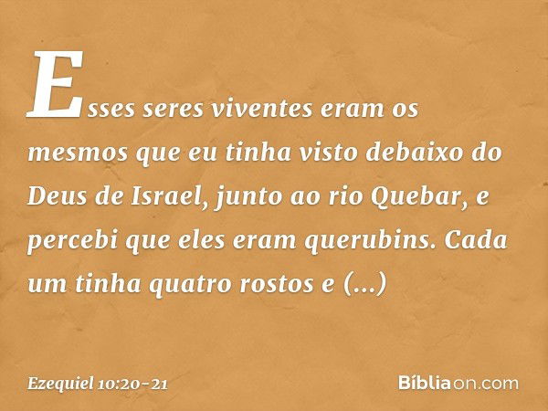 Esses seres viventes eram os mesmos que eu tinha visto debaixo do Deus de Israel, junto ao rio Quebar, e percebi que eles eram querubins. Ca­da um tinha quatro 