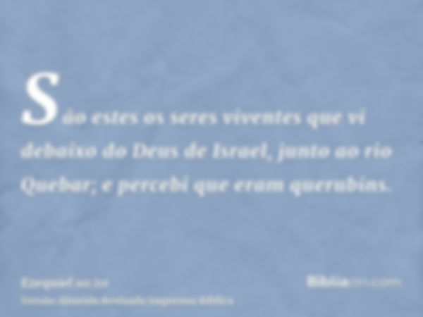 São estes os seres viventes que vi debaixo do Deus de Israel, junto ao rio Quebar; e percebi que eram querubins.