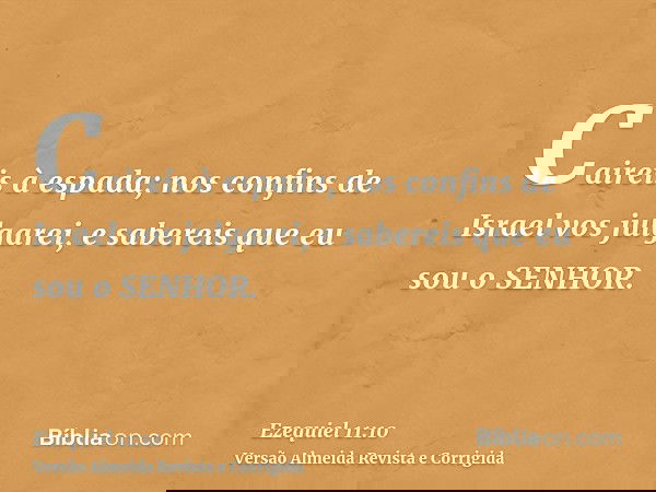 Caireis à espada; nos confins de Israel vos julgarei, e sabereis que eu sou o SENHOR.
