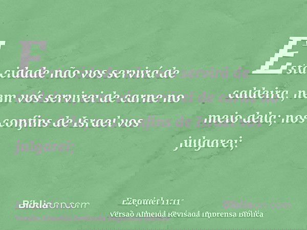Esta cidade não vos servirá de caldeira, nem vós servirei de carne no meio dela; nos confins de Israel vos julgarei;